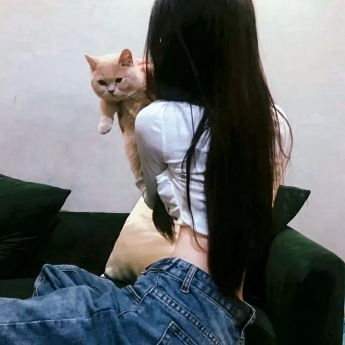 云裳风暴