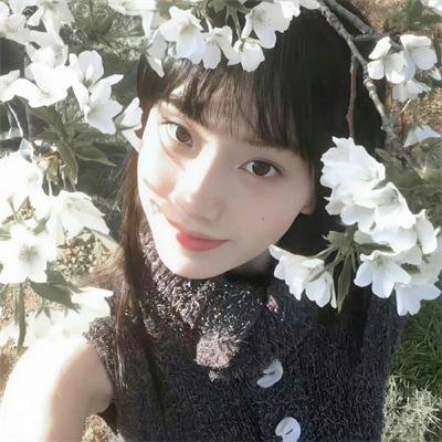 少主且慢行第二季